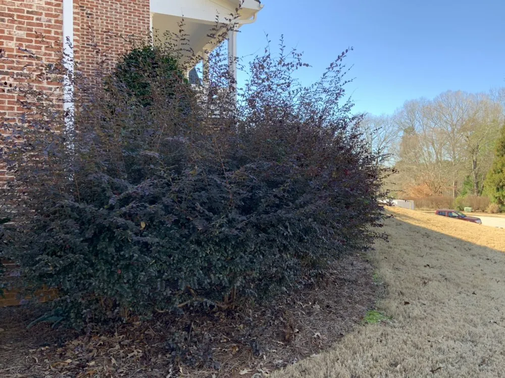 Reliable lawn mowing service for outdoor upgrades across Loganville, GA - Bono's Landscaping