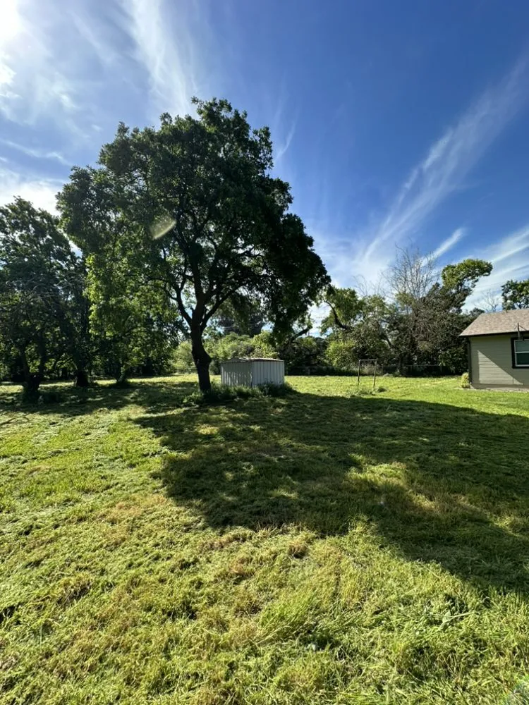 Local lawn care service for year-round maintenance in Winters, CA by Bonos tractor services