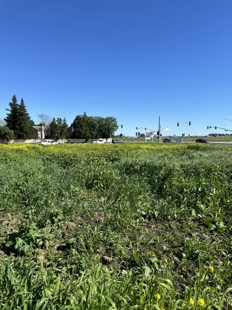 Top-rated lawn mowing service in Winters, CA - Bonos tractor services