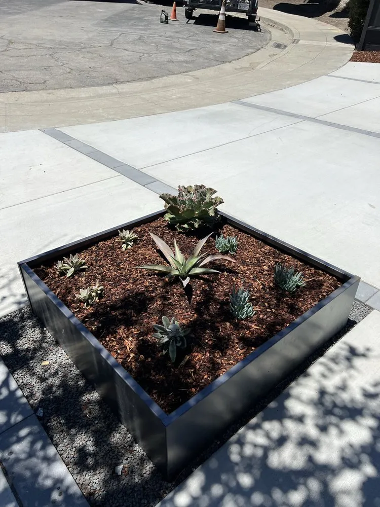 Reliable lawn care service in Redwood City, CA - Bonsai Garden Experts