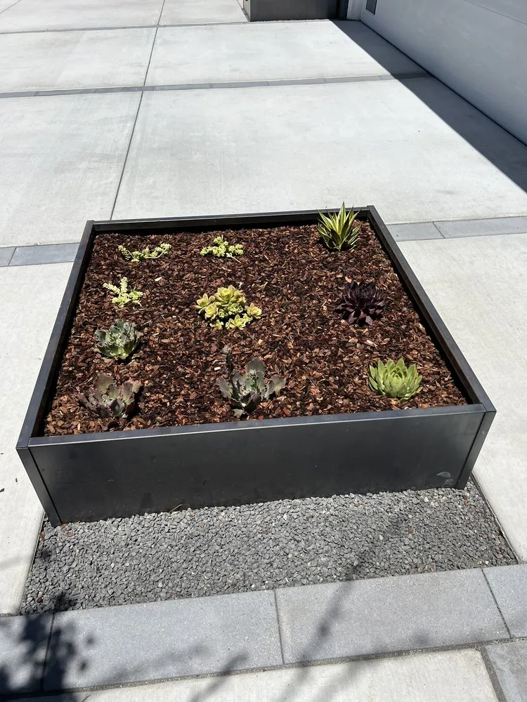 Top-rated landscaping services in Redwood City, CA by Bonsai Garden Experts