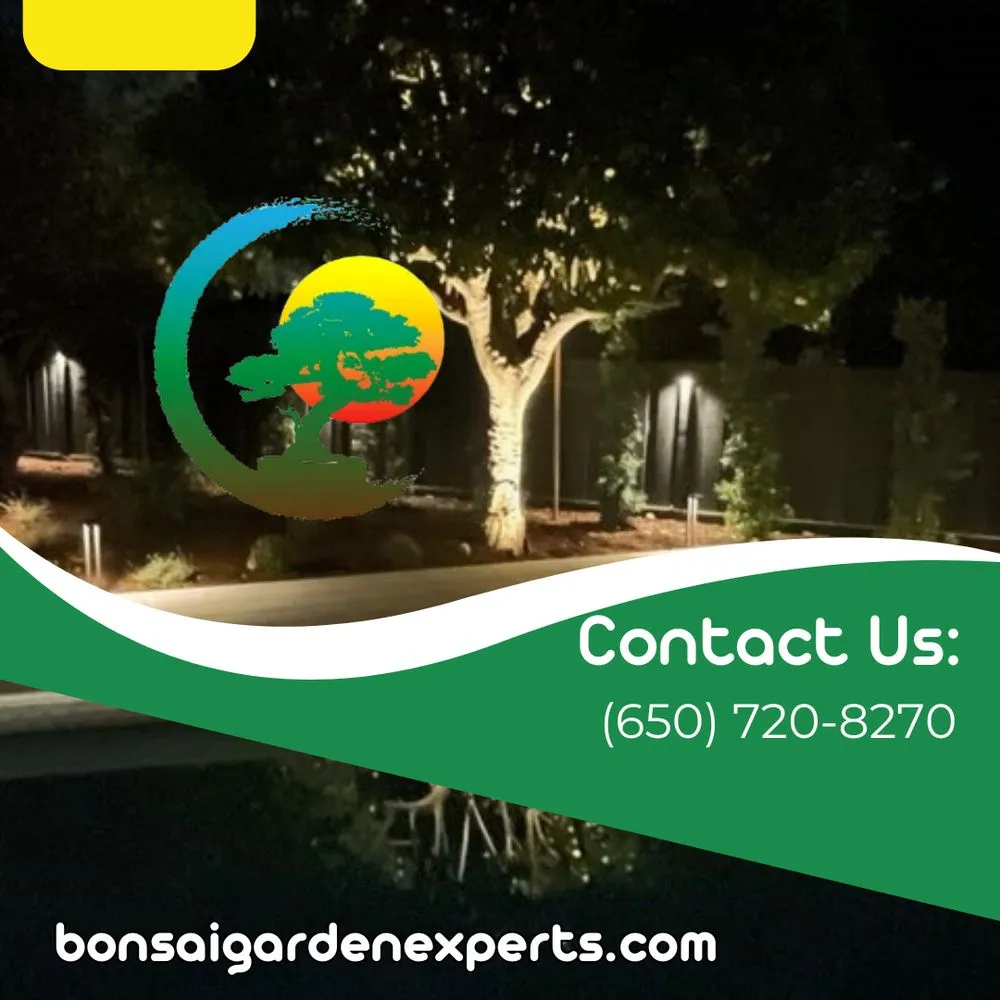 Affordable landscape installation in Redwood City, CA by Bonsai Garden Experts