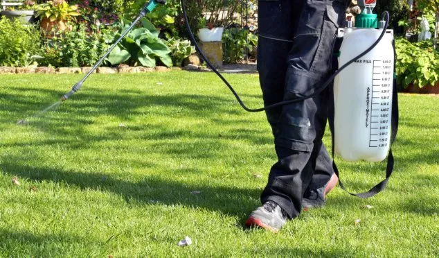 Local landscape installation in Houston, TX - Bonsai