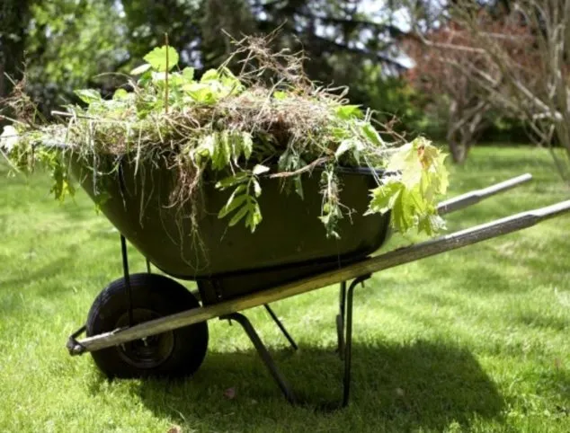 Expert residential landscaping experts serving Houston, TX - Bonsai