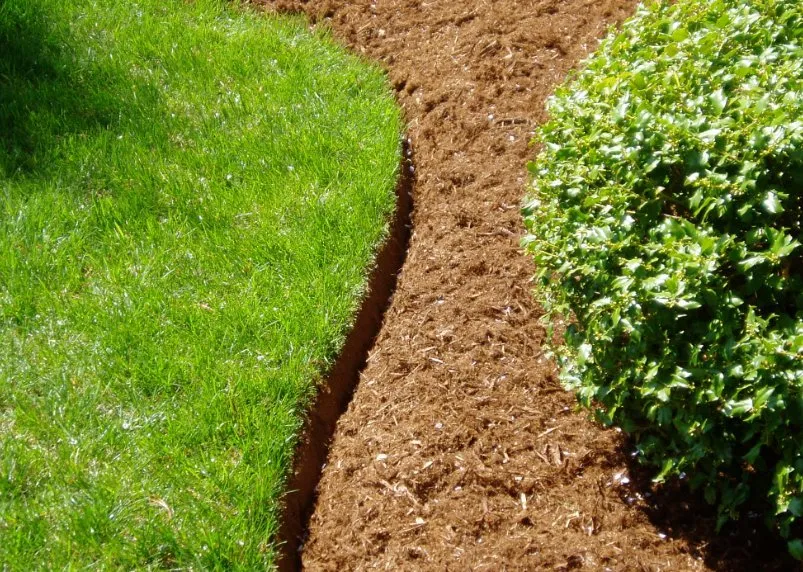 Trusted residential landscaping for homes across Houston, TX - Bonsai