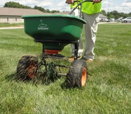 Custom residential landscaping experts serving Houston, TX - Bonsai