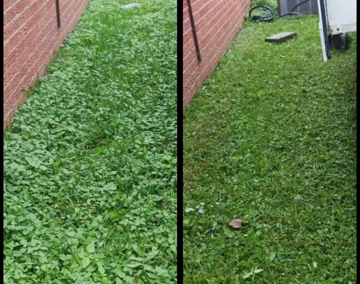 Reliable lawn care service experts serving Alvin, TX - Bonterra Solutions