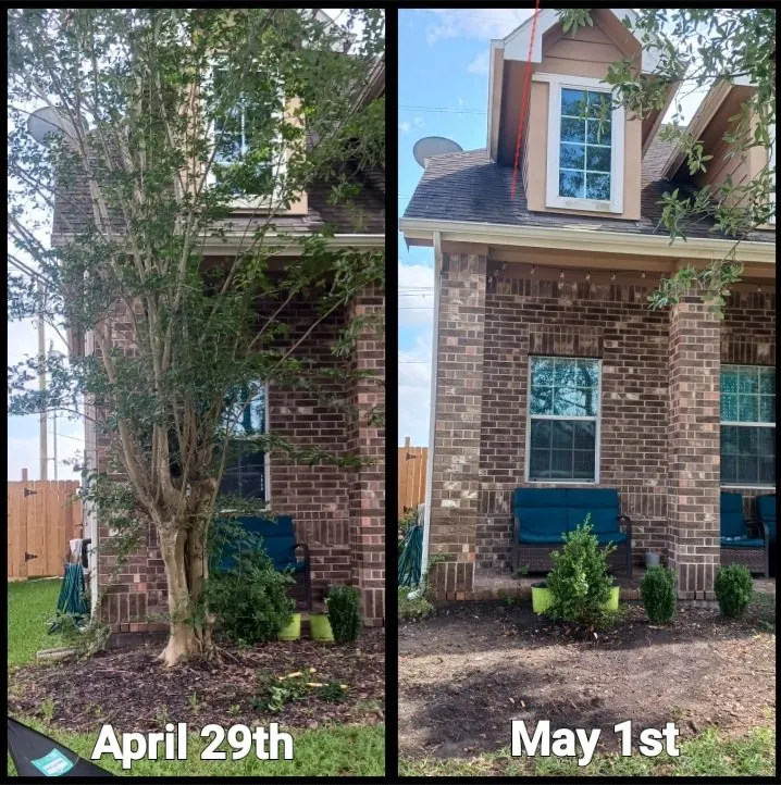 Affordable lawn care service in Alvin, TX by Bonterra Solutions