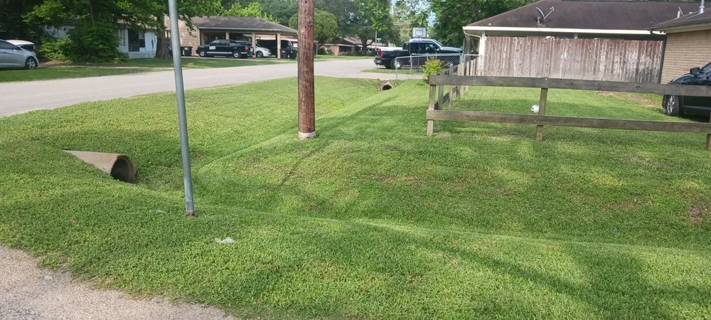 Local yard cleanup service near you in Alvin, TX by Bonterra Solutions