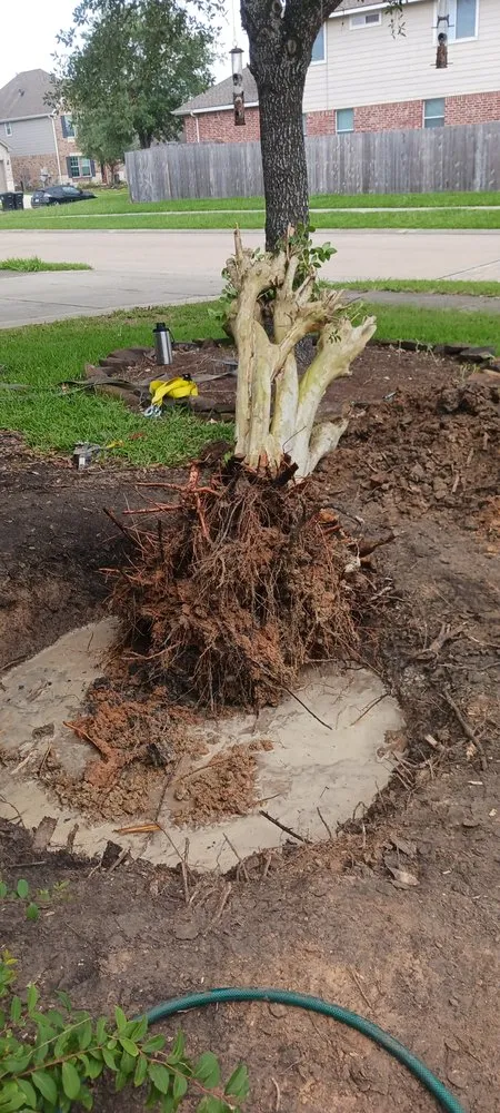 Expert landscape design experts serving Alvin, TX - Bonterra Solutions