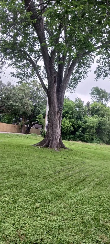 Reliable landscape installation experts serving Alvin, TX - Bonterra Solutions