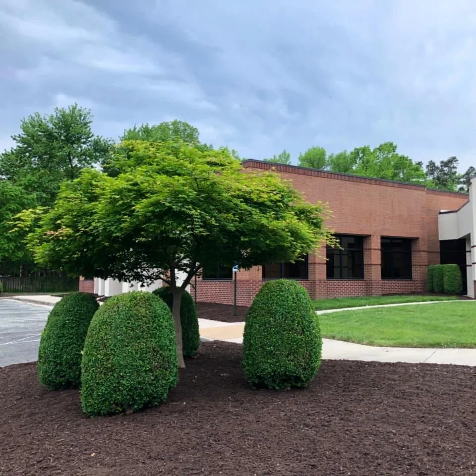 Expert landscaping services experts serving South Chesterfld, VA - Bonzi Services