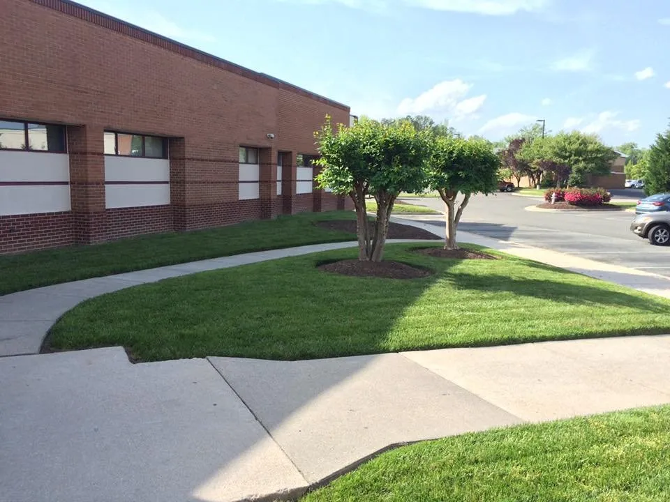 Trusted lawn mowing service in South Chesterfld, VA by Bonzi Services