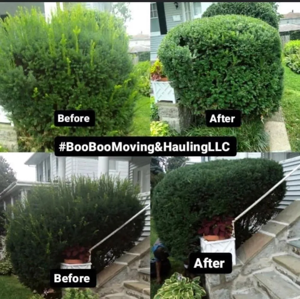 Professional landscape design in Baltimore, MD by Boo Boo Moving & Hauling