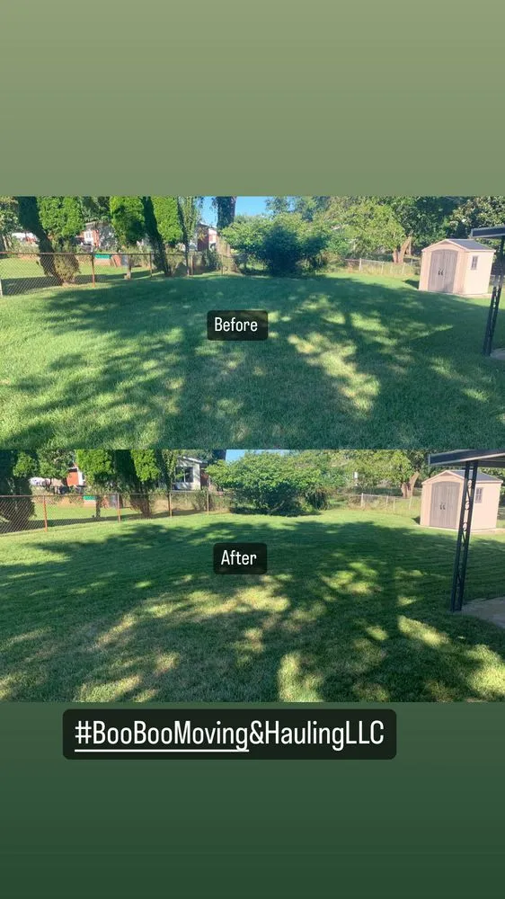 Top-rated landscaping services for homes across Baltimore, MD - Boo Boo Moving & Hauling