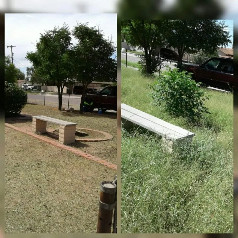 Local garden landscaping experts serving Tucson, AZ - BooBoo's Landcare