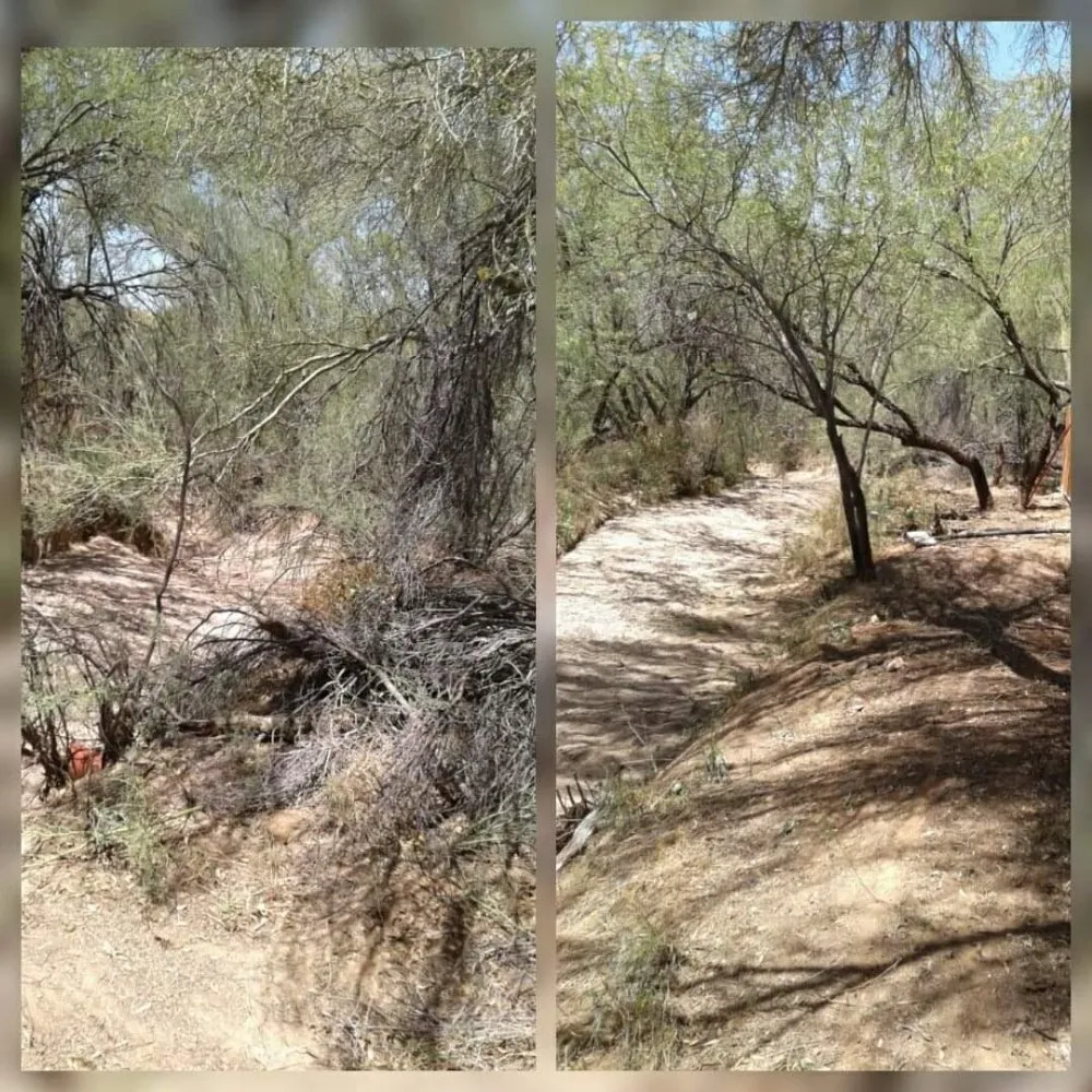 Local garden landscaping in Tucson, AZ by BooBoo's Landcare