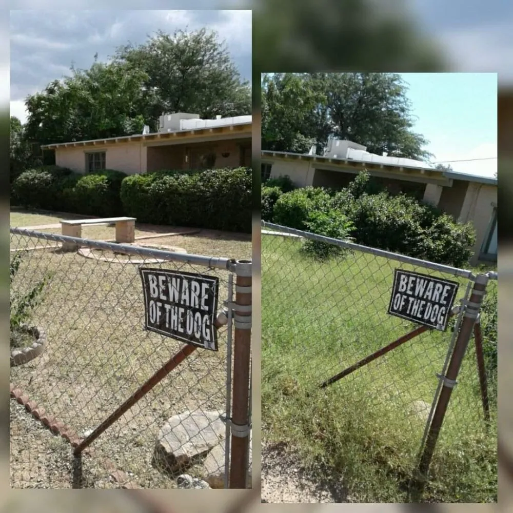 Affordable landscaping services for year-round maintenance across Tucson, AZ - BooBoo's Landcare