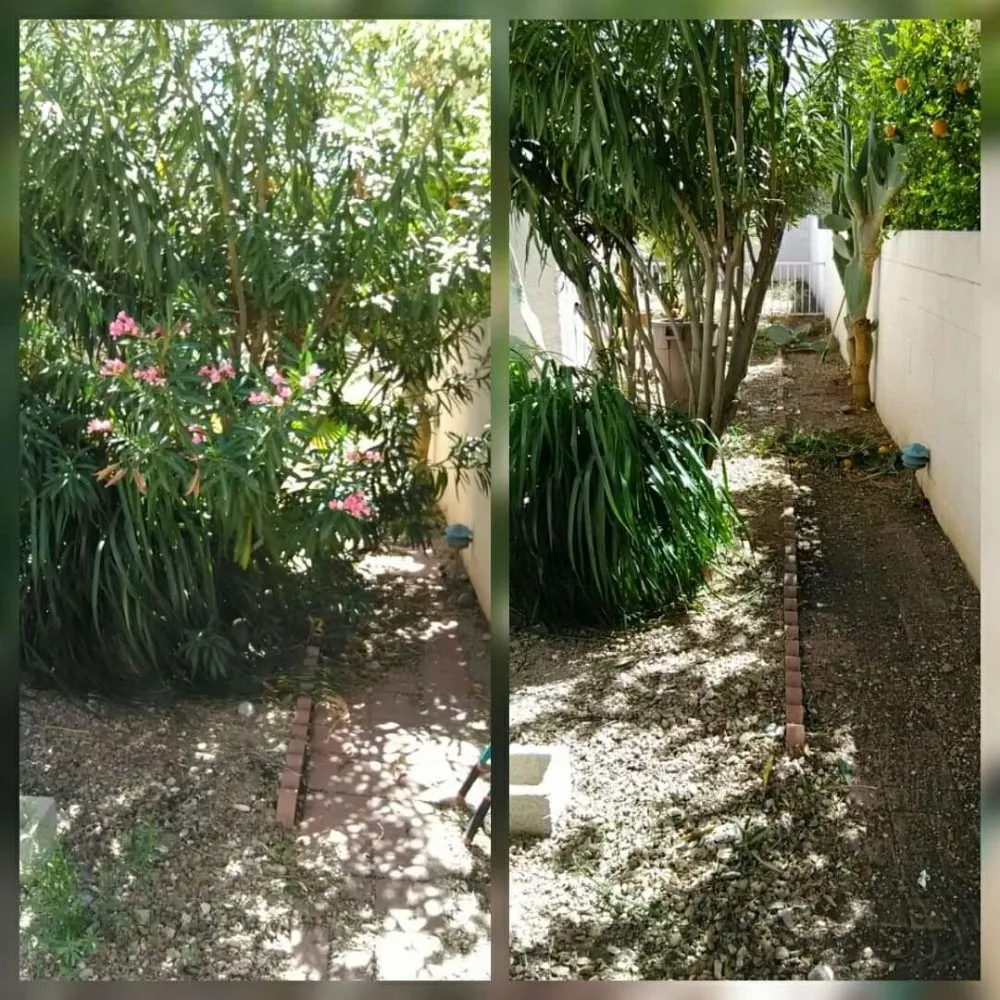 Top-rated lawn care service experts serving Tucson, AZ - BooBoo's Landcare