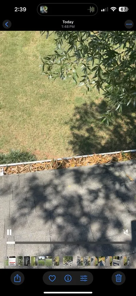 Custom yard maintenance for year-round maintenance in Mocksville, NC by Boogie Landscape