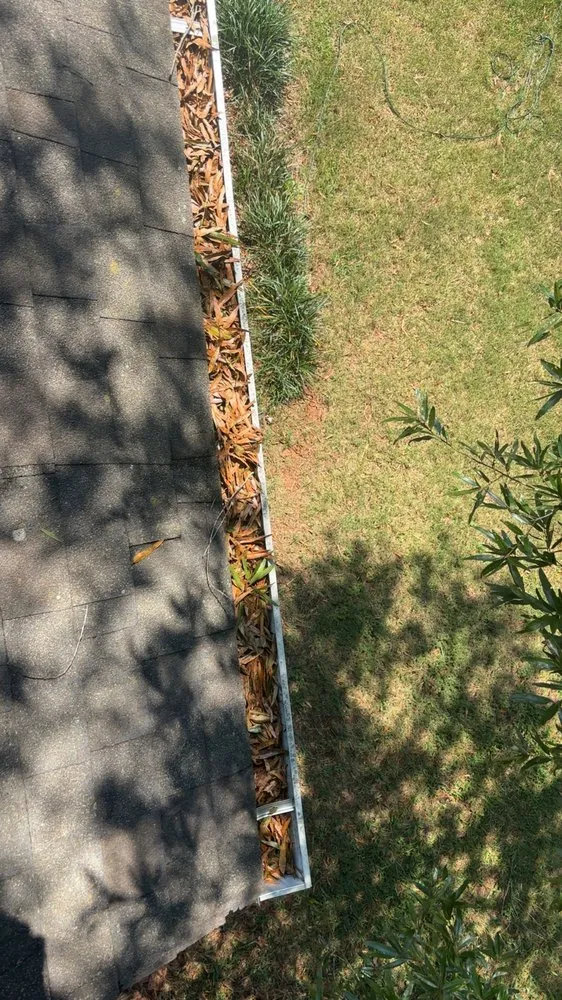 Local lawn care service for outdoor upgrades across Mocksville, NC - Boogie Landscape