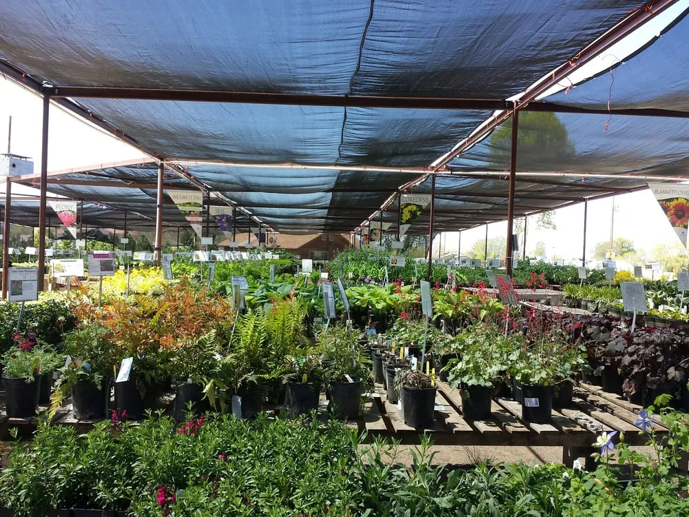 Custom outdoor landscaping in Grand Junction, CO by Bookcliff Gardens