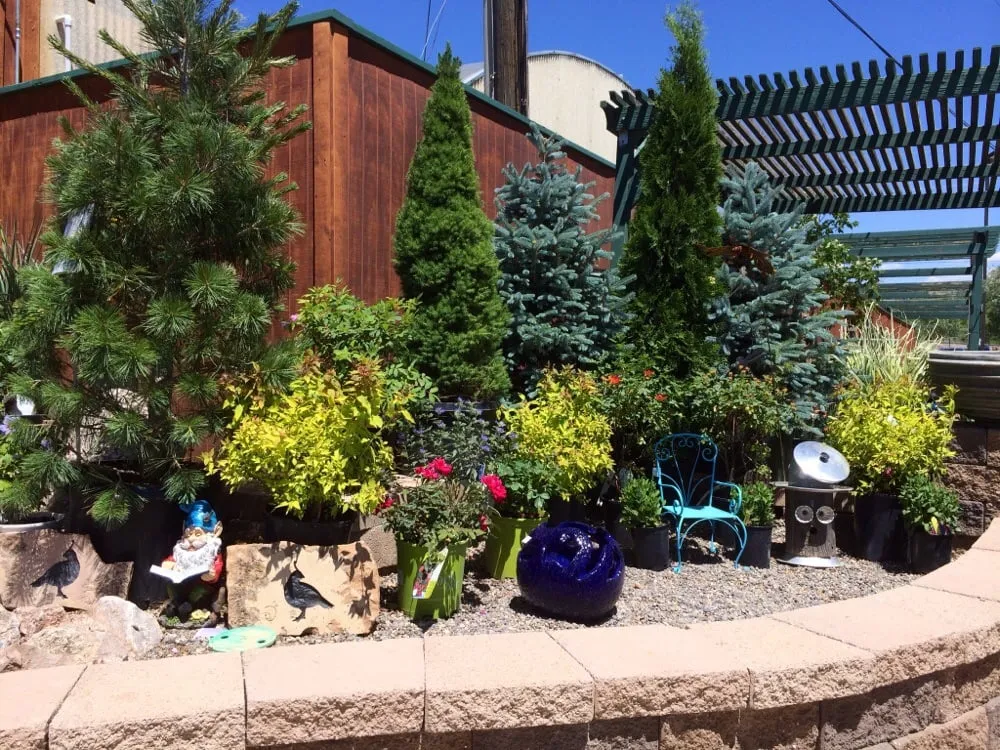 Expert landscape installation for outdoor upgrades across Grand Junction, CO - Bookcliff Gardens