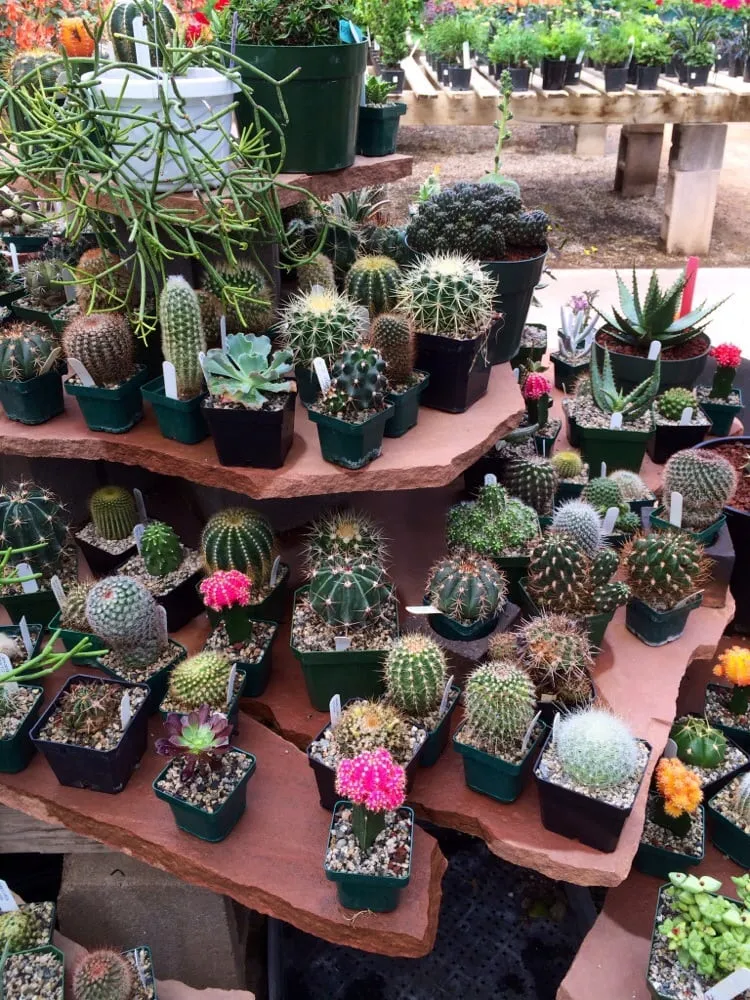 Professional landscape installation in Grand Junction, CO - Bookcliff Gardens