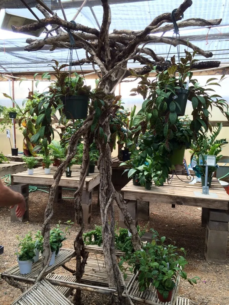 Local landscaping services in Grand Junction, CO - Bookcliff Gardens