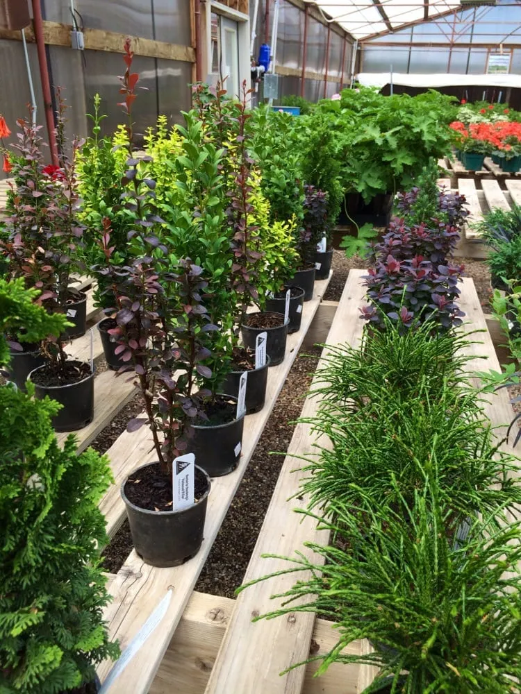 Affordable landscape installation in Grand Junction, CO by Bookcliff Gardens