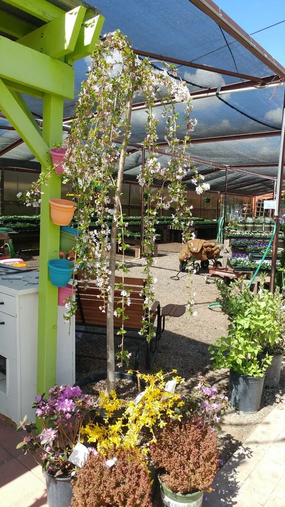 Trusted outdoor landscaping for outdoor upgrades across Grand Junction, CO - Bookcliff Gardens