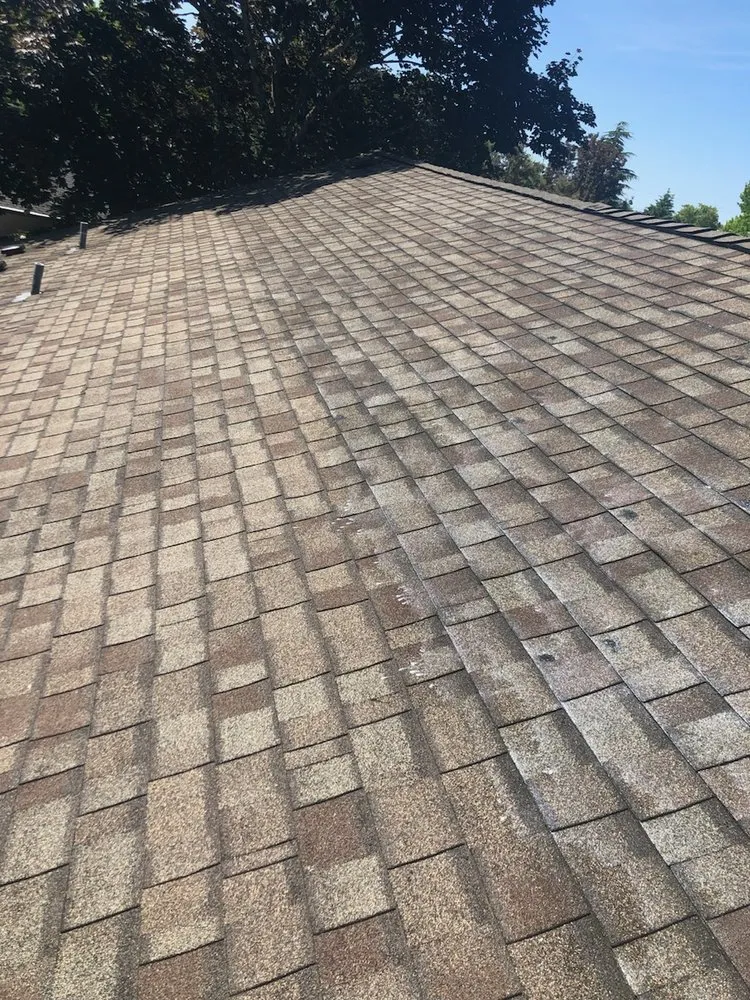 Professional yard maintenance in West Linn, OR - Boom Baby Handymen