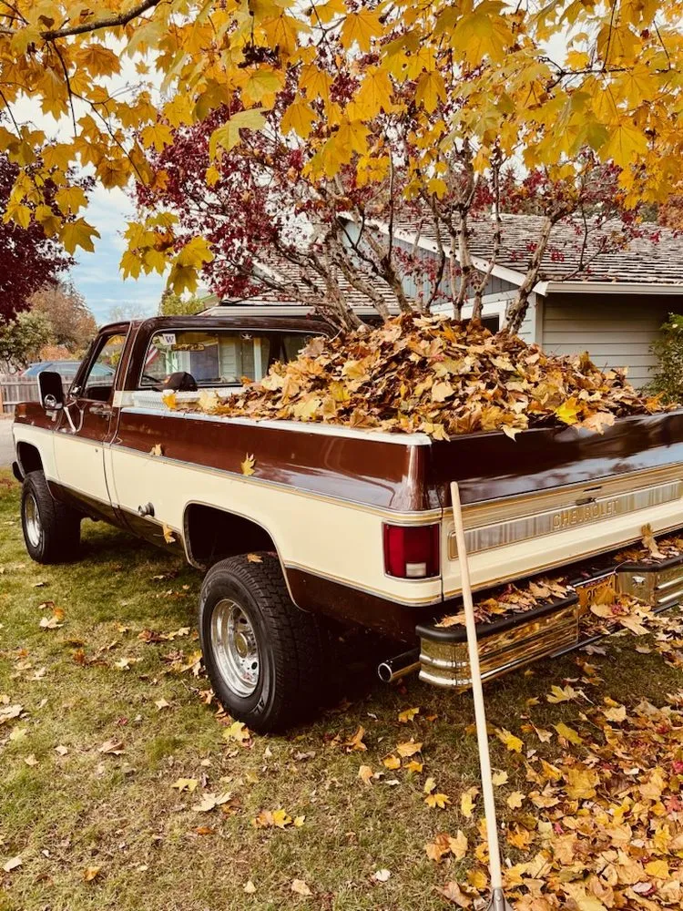 Expert lawn care service near you in West Linn, OR by Boom Baby Handymen