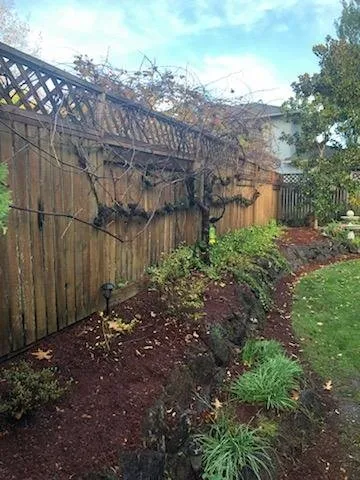 Top-rated yard maintenance experts serving West Linn, OR - Boom Baby Handymen