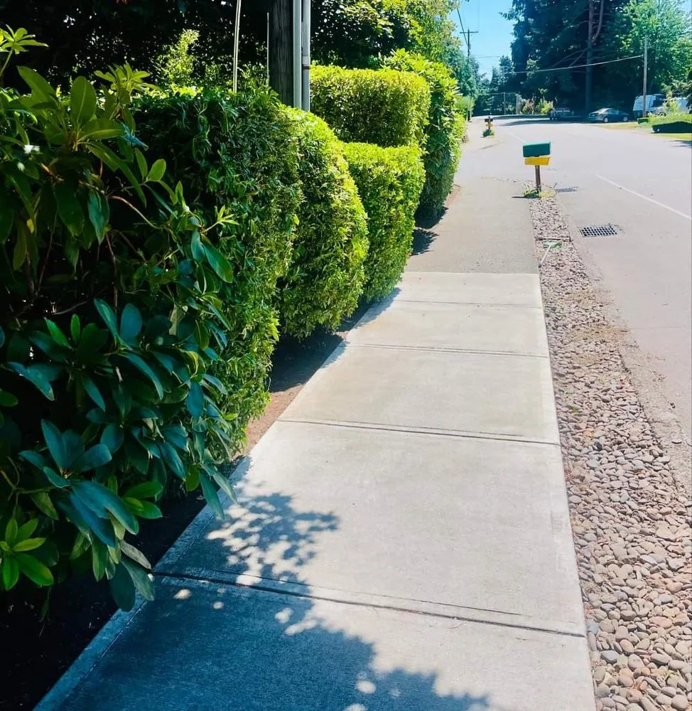 Reliable yard maintenance with custom design across West Linn, OR - Boom Baby Handymen