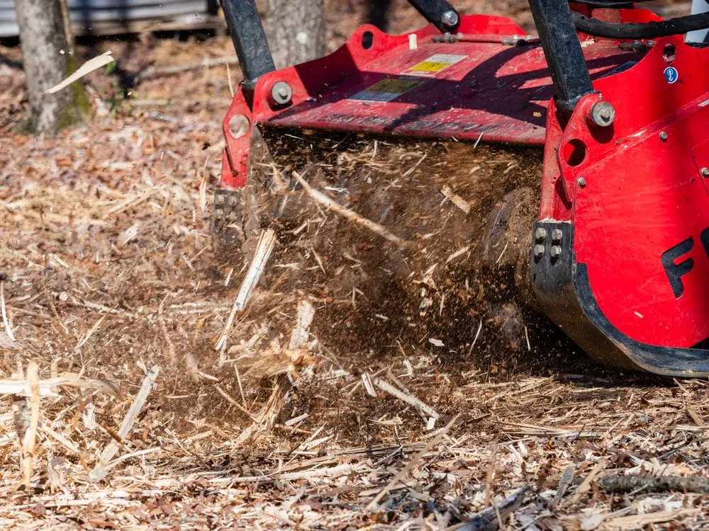 Professional yard maintenance in Charlotte, NC - Boom Brush Control