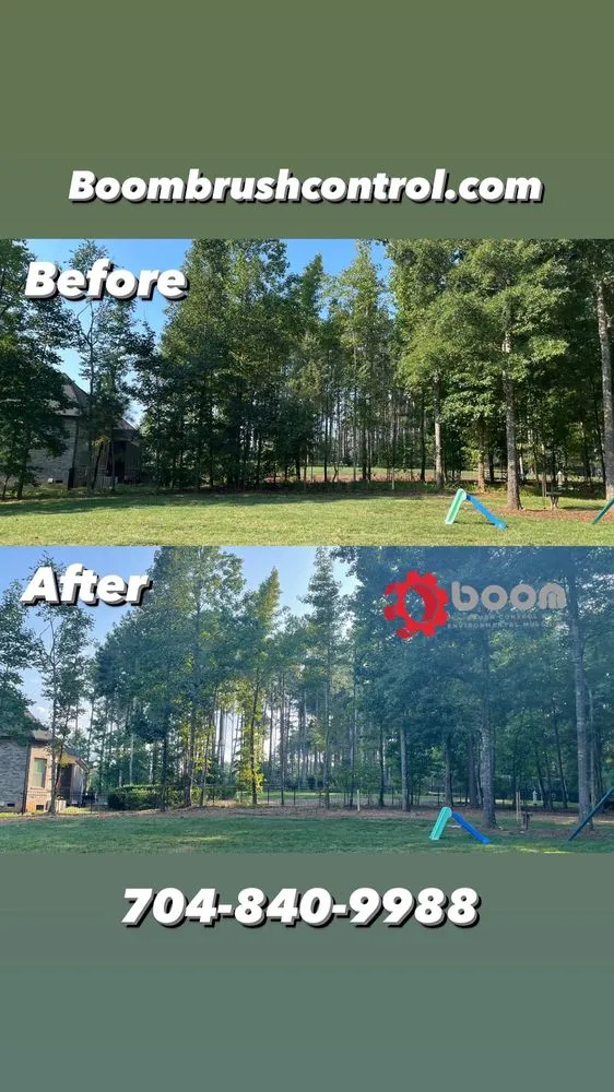 Professional outdoor landscaping for year-round maintenance in Charlotte, NC by Boom Brush Control