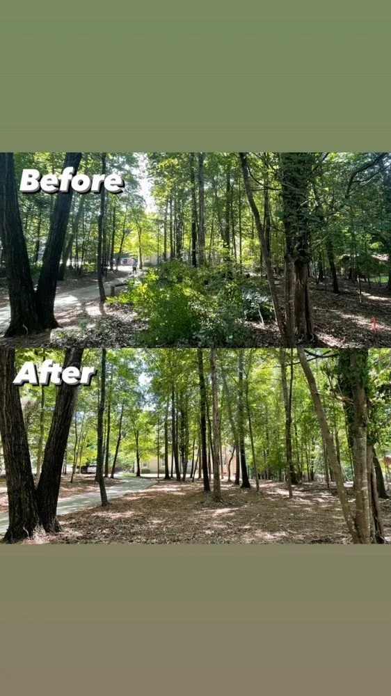 Reliable outdoor landscaping for residential properties in Charlotte, NC by Boom Brush Control