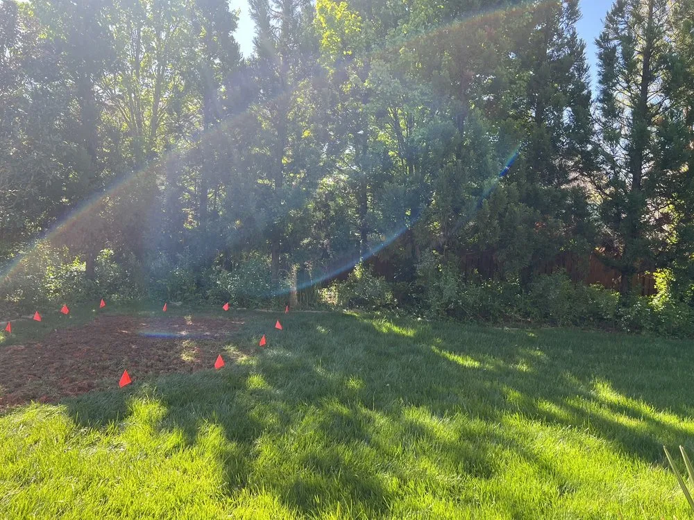 Custom landscaping services in Charlotte, NC - Boom Brush Control