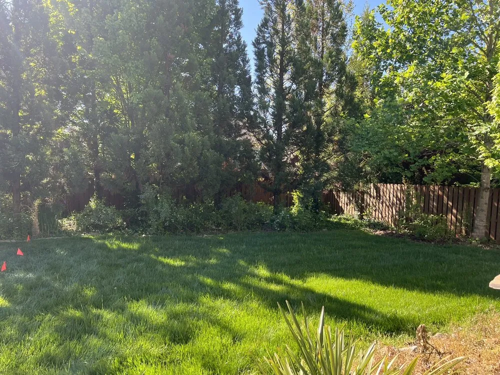 Expert landscape design in Charlotte, NC - Boom Brush Control