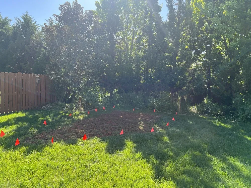 Reliable yard cleanup service for year-round maintenance across Charlotte, NC - Boom Brush Control