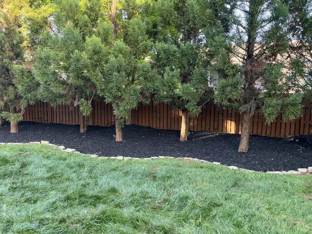 Top-rated lawn care service for residential properties in Charlotte, NC by Boom Brush Control