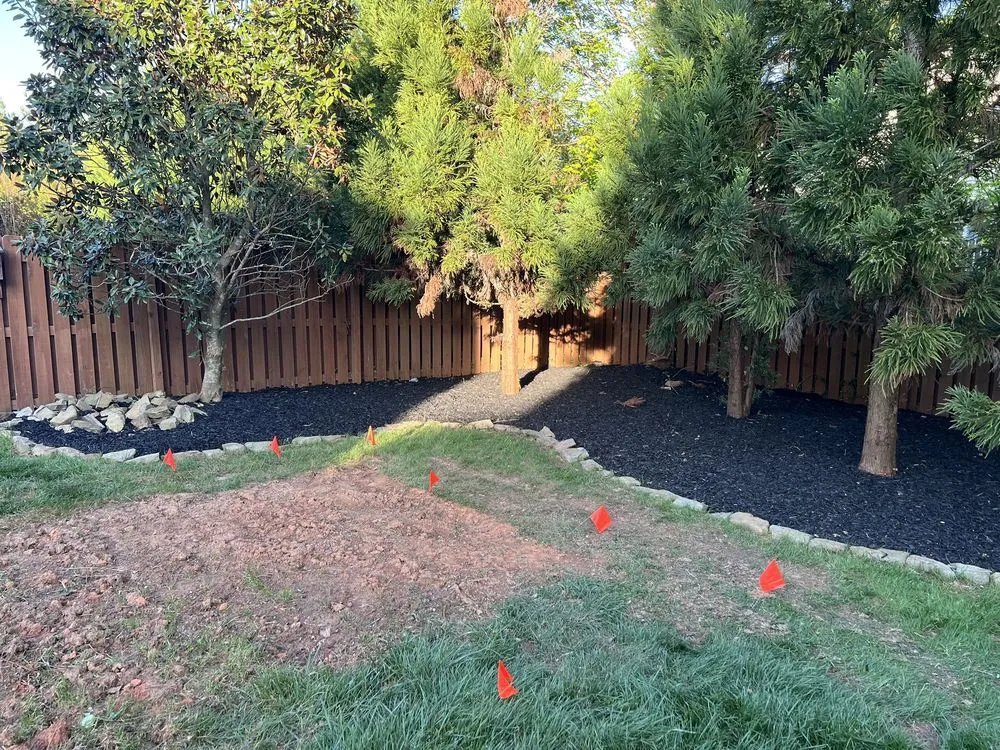 Expert yard cleanup service in Charlotte, NC - Boom Brush Control
