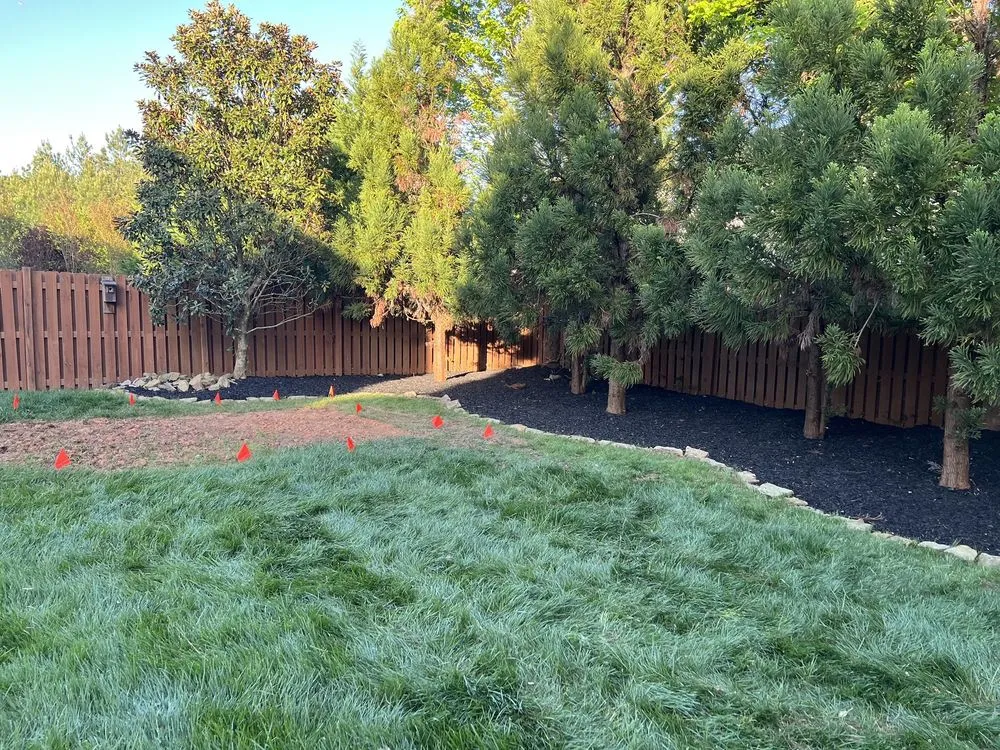 Reliable yard cleanup service with custom design across Charlotte, NC - Boom Brush Control