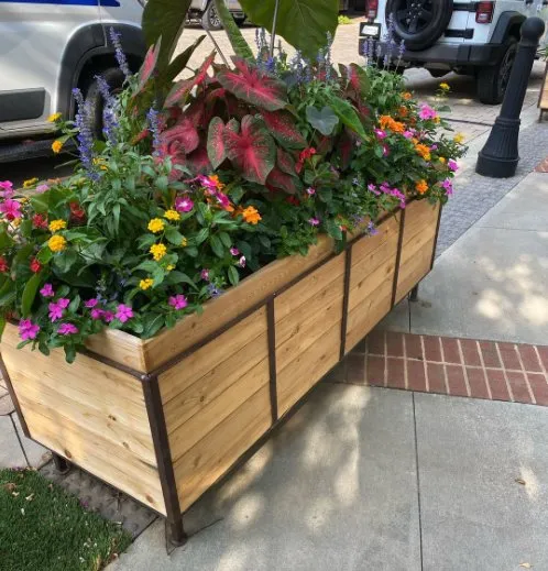 Expert residential landscaping in Atlanta, GA by Boomerang Landscaping