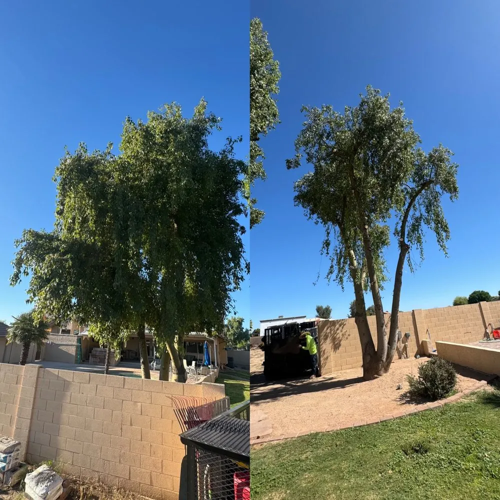 Affordable outdoor landscaping near you across Phoenix, AZ - Boomin Services