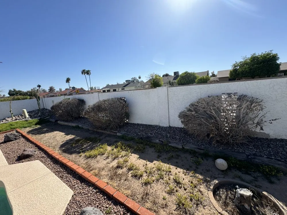 Expert yard cleanup service experts serving Phoenix, AZ - Boomin Services