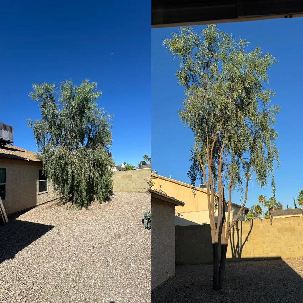 Reliable lawn mowing service in Phoenix, AZ - Boomin Services