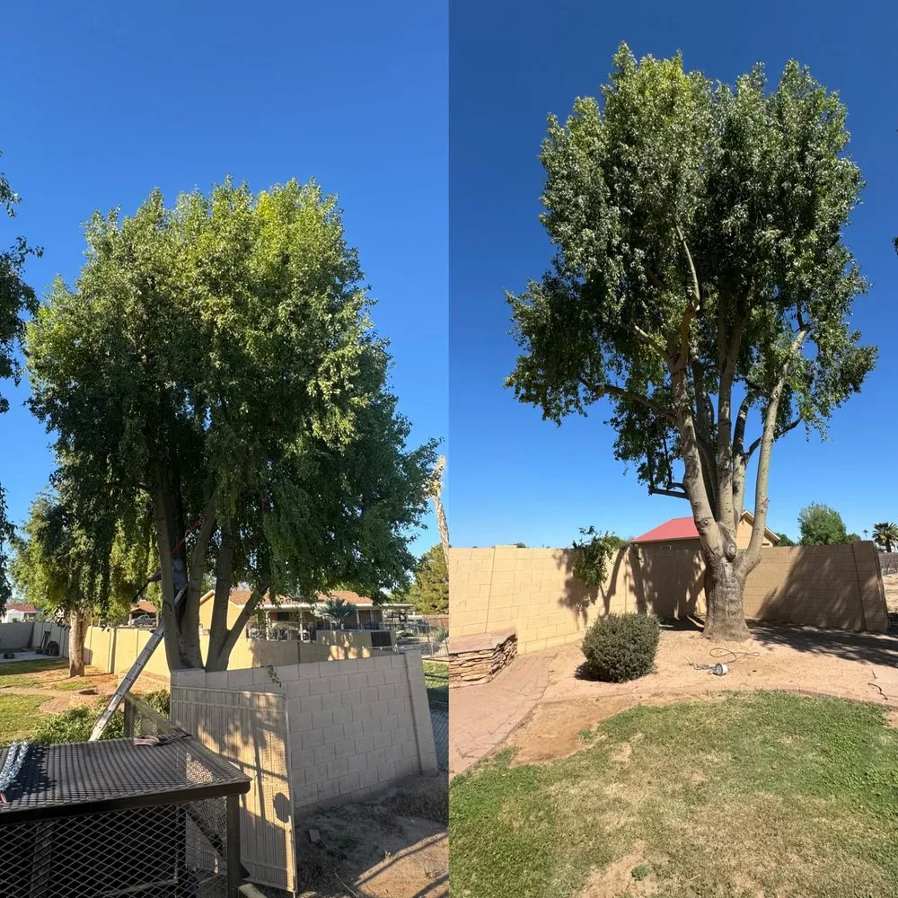 Local lawn mowing service experts serving Phoenix, AZ - Boomin Services