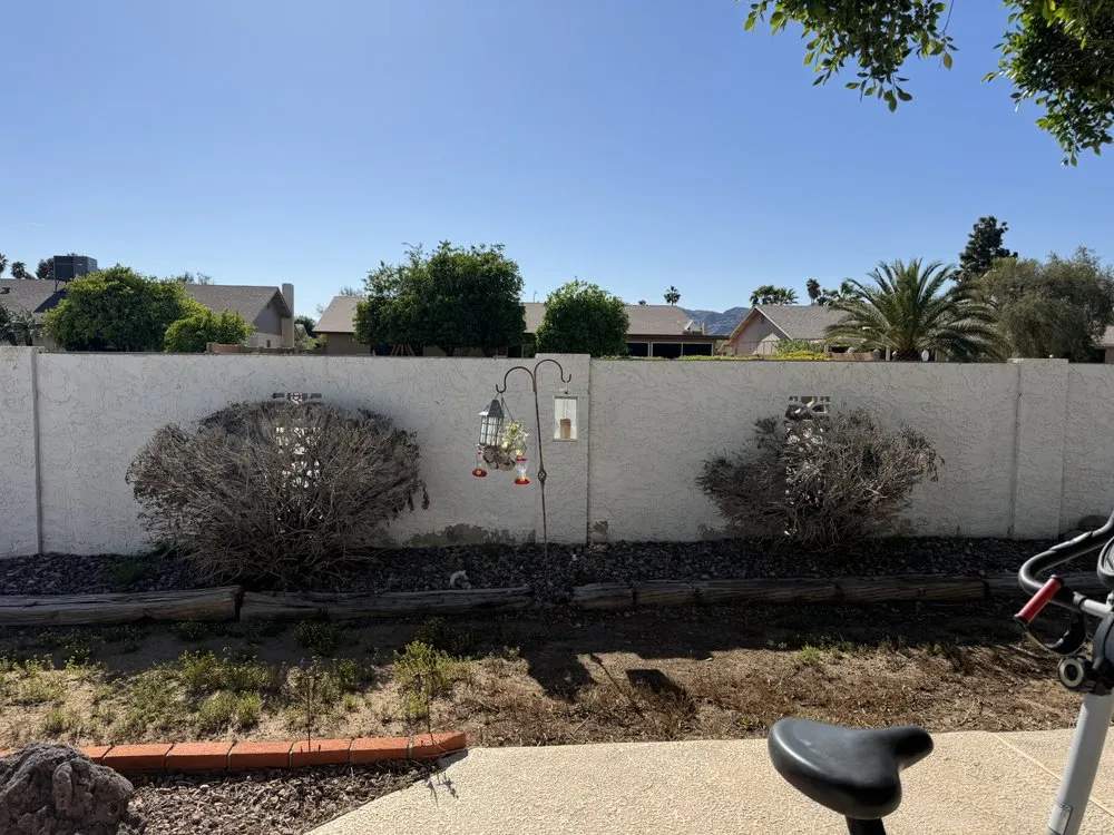 Local lawn care service in Phoenix, AZ - Boomin Services